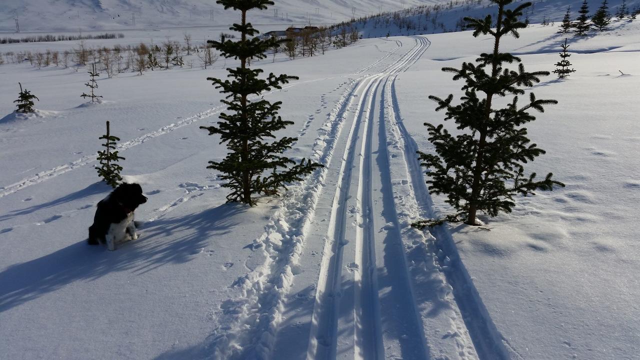 Holt Inn Flateyri Bagian luar foto